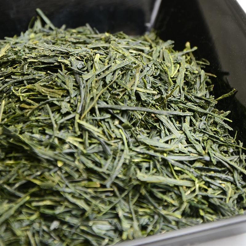 Sencha Tongu Asatsuyu