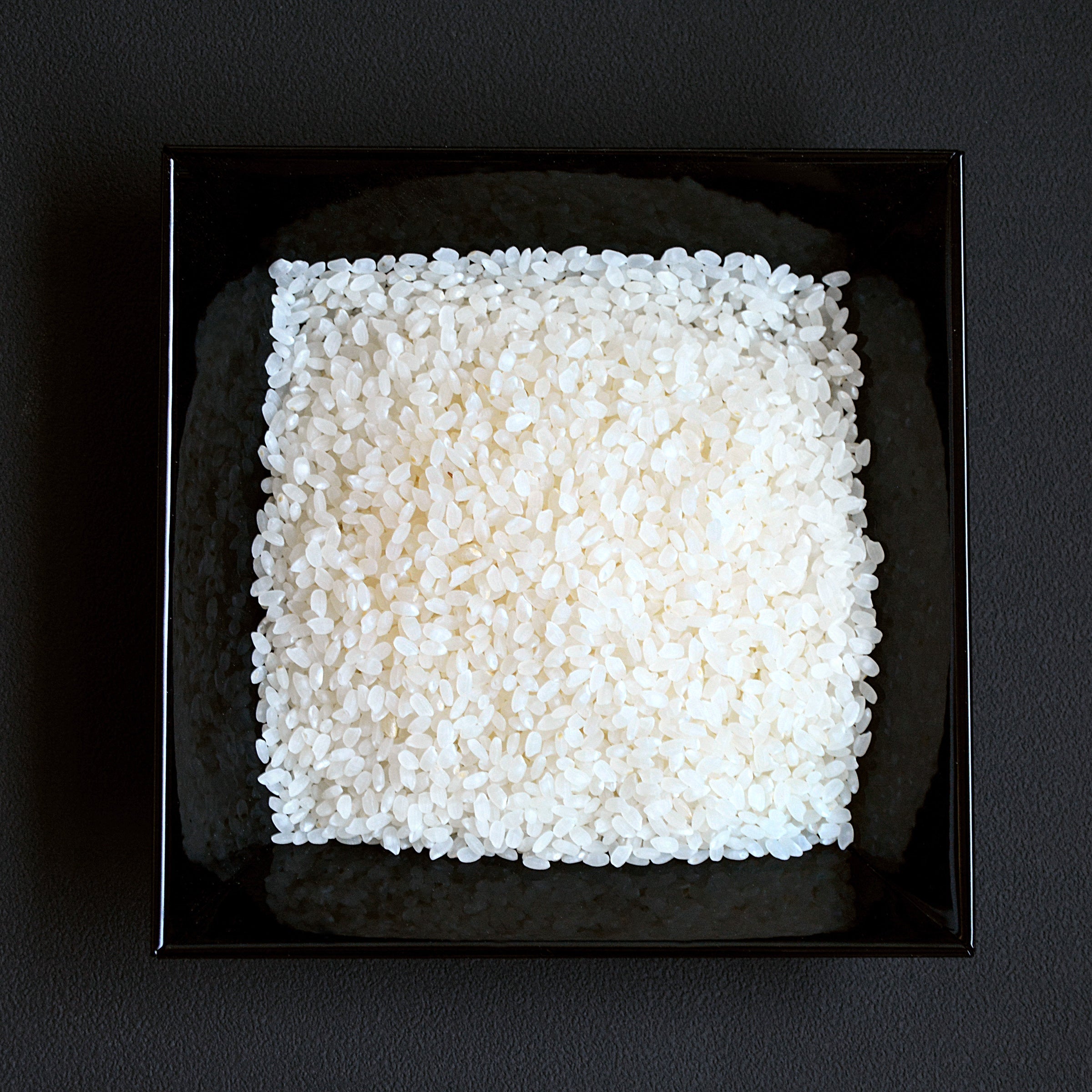タイホワイトライス 10kgThai White Rice WAT ARUN】 THAI WHITE RICE/タイホワイトライス 10kg | RICE